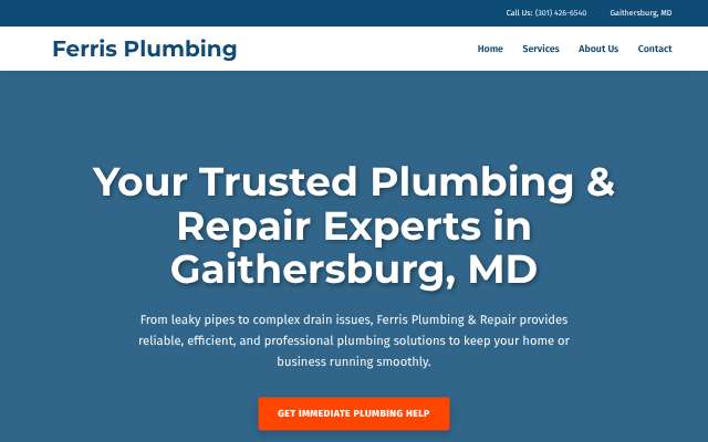 Ferris Plumbing & Repair's page as the assistant saw it
