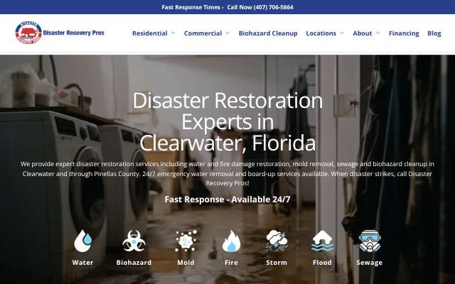 Page cited for Disaster Recovery Pros