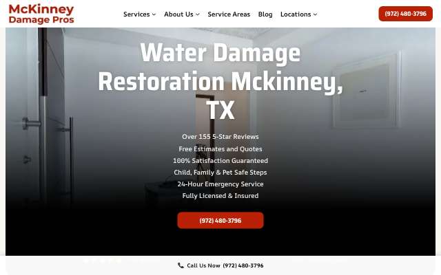 Page cited for McKinney Damage Pros