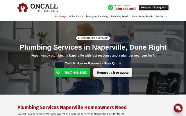On Call Plumbers in Naperville's page as the assistant saw it