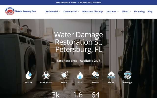 Page cited for Disaster Recovery Pros