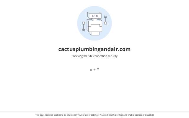 Cactus Plumbing And Air's page as the assistant saw it