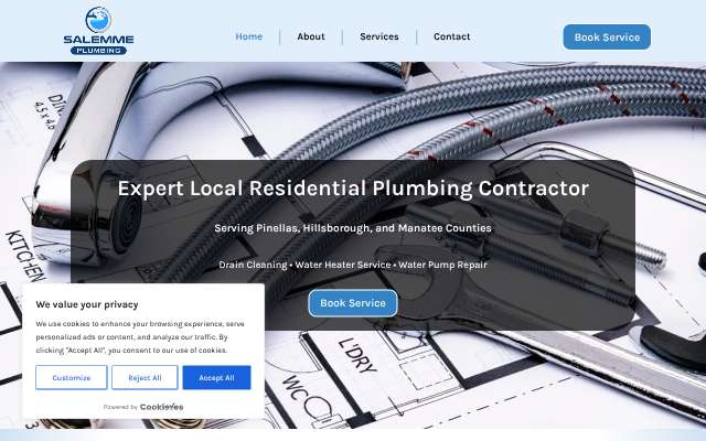 Salemme Plumbing's page as the assistant saw it