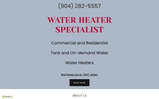 Water Heater Specialists's page as the assistant saw it