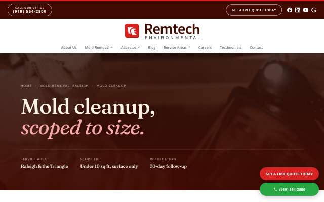 Remtech Environmental's page as the assistant saw it