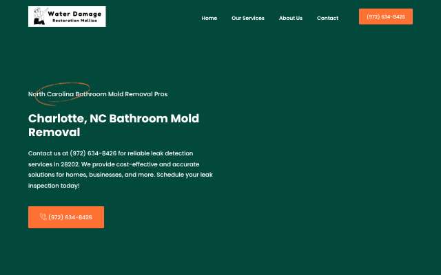 North Carolina Bathroom Mold Removal Pros's page as the assistant saw it