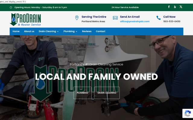 ProDrain & Rooter Service's page as the assistant saw it