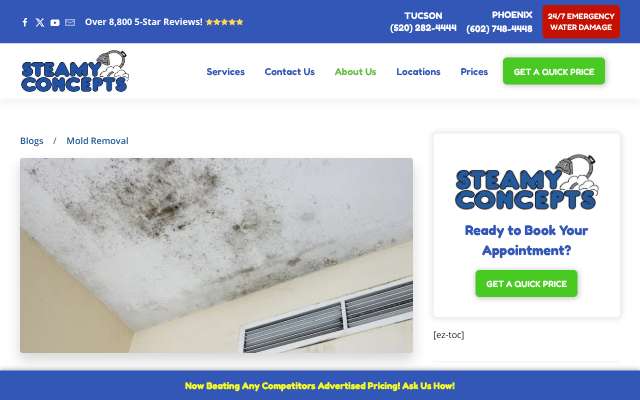 Steamy Concepts's page as the assistant saw it