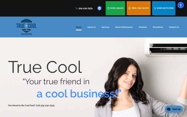 True Cool Air Conditioning Services Inc's page as the assistant saw it
