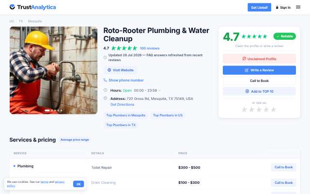 Roto-Rooter Plumbing and Water Cleanup's page as the assistant saw it