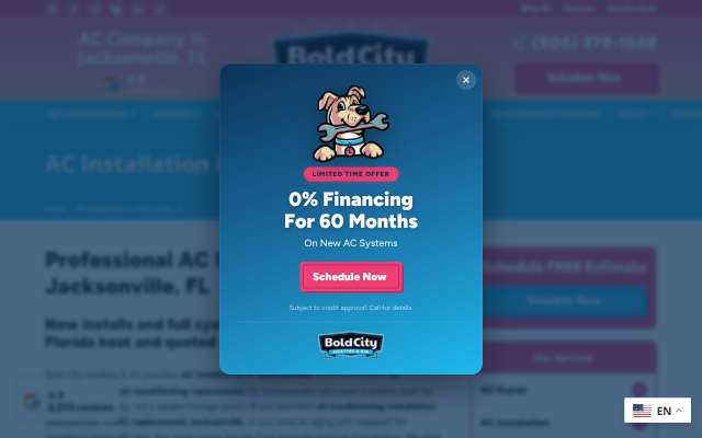 Bold City Heating & Air's page as the assistant saw it