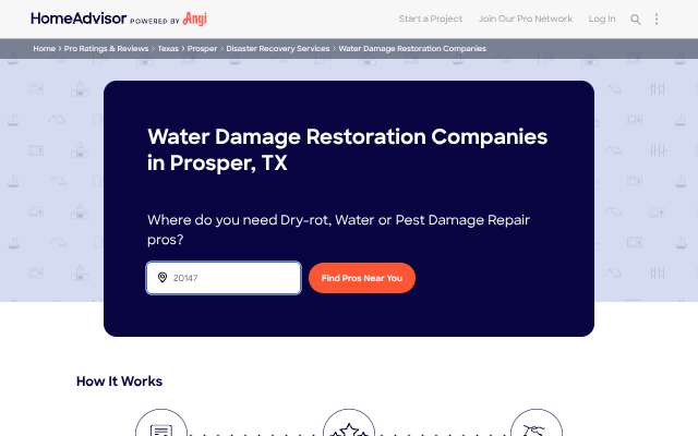 1-800 WATER DAMAGE of McKinney & Frisco's page as the assistant saw it