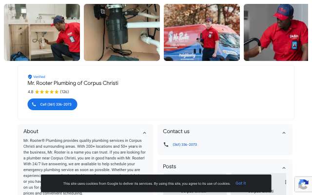 Mr. Rooter Plumbing of Corpus Christi's page as the assistant saw it