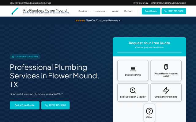 Pro Plumbers Flower Mound's page as the assistant saw it