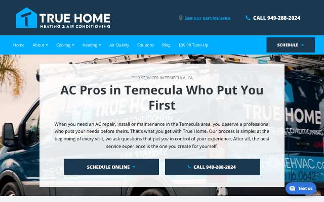 True Home Heating & Air Conditioning's page as the assistant saw it