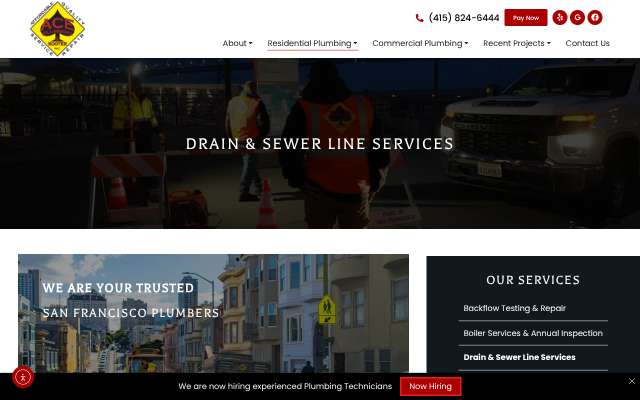 Page cited for Ace Plumbing & Rooter, Inc.