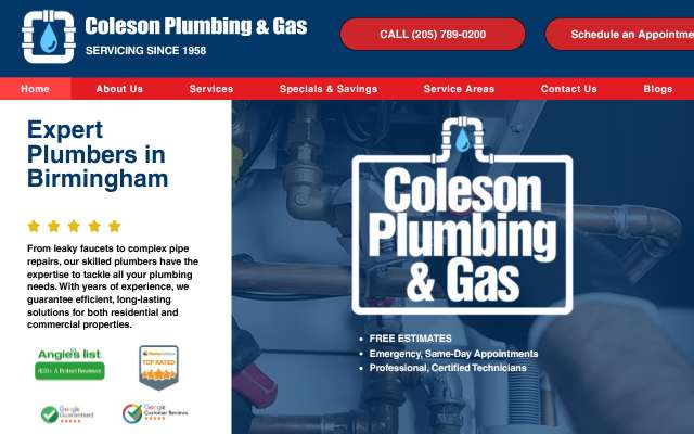 Coleson Plumbing & Gas's page as the assistant saw it