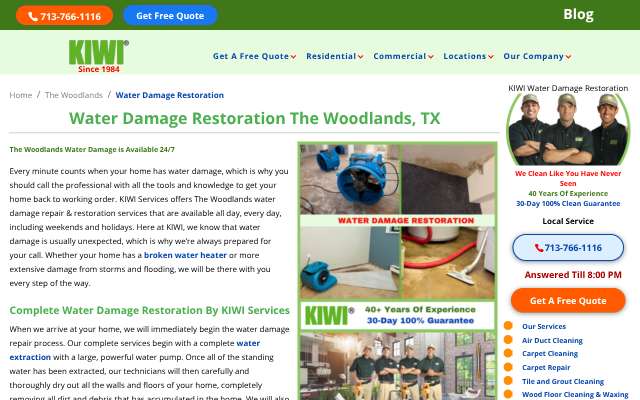 KIWI Cleaning Services (The Woodlands)'s page as the assistant saw it