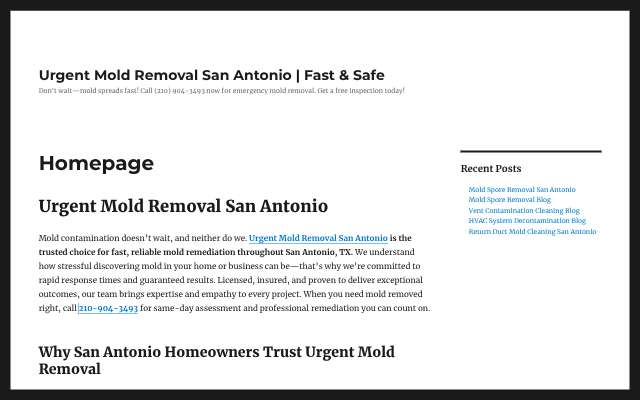 Urgent Mold Removal San Antonio's page as the assistant saw it
