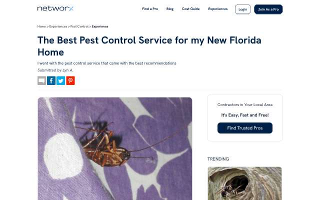Regal Termite and Pest Control's page as the assistant saw it