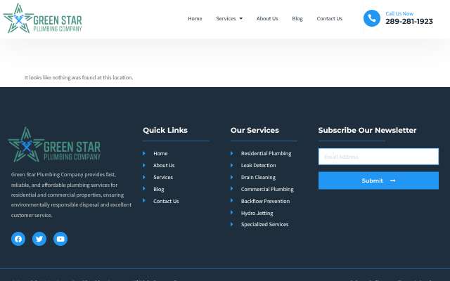 Green Star Plumbing's page as the assistant saw it