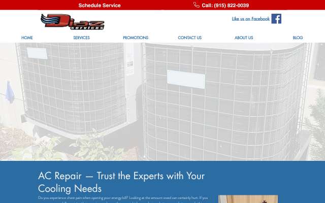 Diaz Services, Inc's page as the assistant saw it