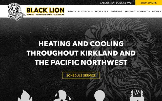 Black Lion Heating & Air Conditioning's page as the assistant saw it