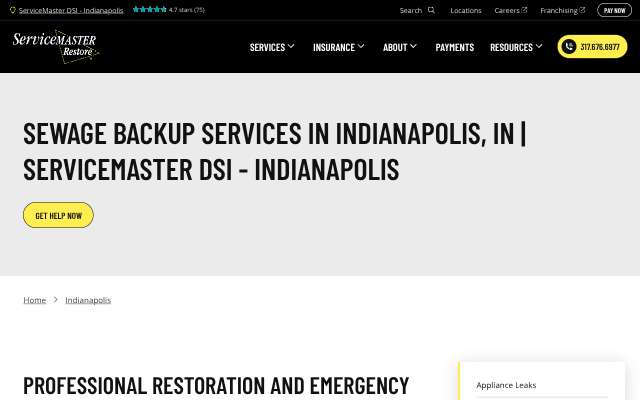 ServiceMaster DSI - Indianapolis's page as the assistant saw it