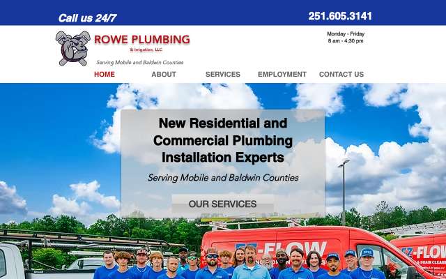 Rowe Plumbing and Irrigation LLC's page as the assistant saw it