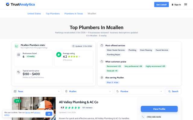Mighty Mike's Plumbing, Electrical & HVAC's page as the assistant saw it