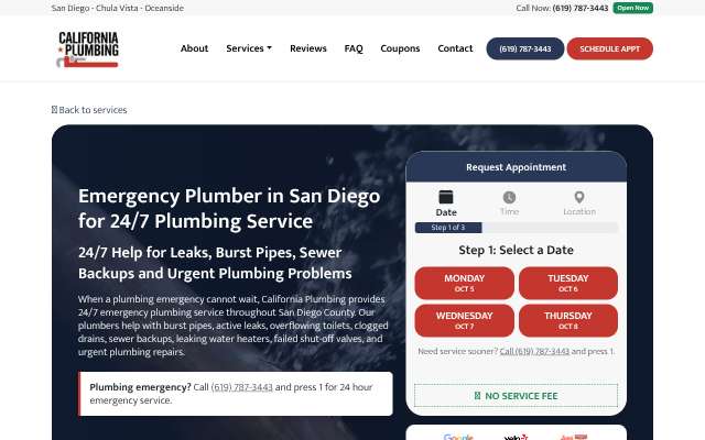 California Plumbing (San Diego)'s page as the assistant saw it