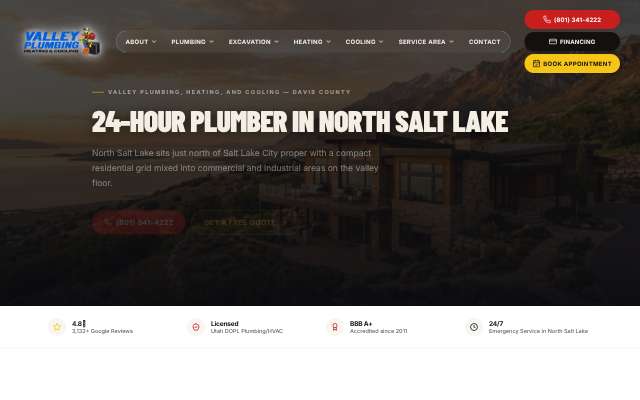Valley Plumbing and Drain Cleaning's page as the assistant saw it