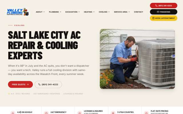 Valley Plumbing's page as the assistant saw it