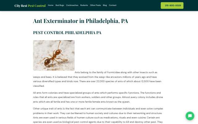 City Best Pest Control's page as the assistant saw it