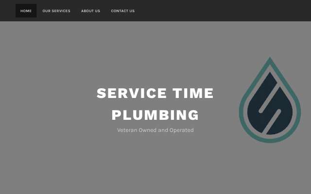 Service Time Plumbing LLC's page as the assistant saw it