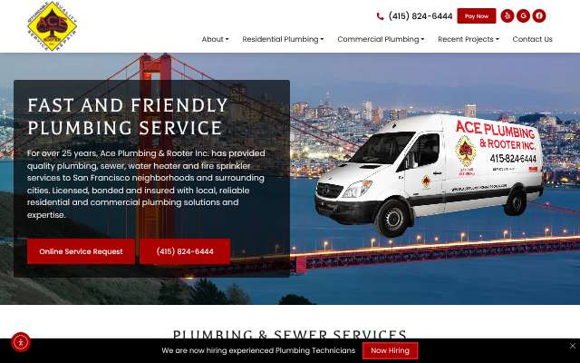 Ace Plumbing & Rooter, Inc.'s page as the assistant saw it