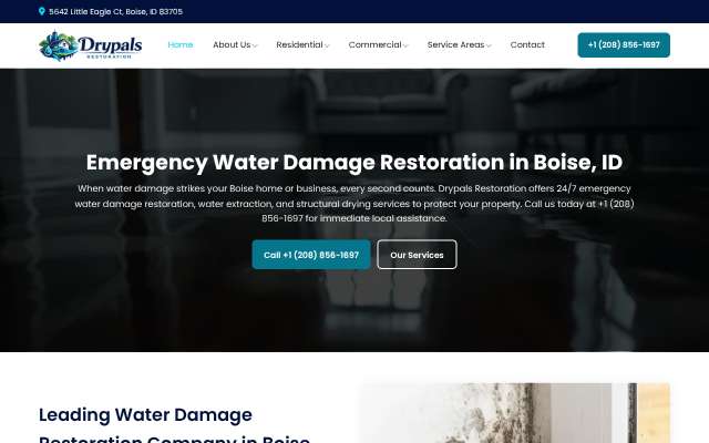 Page cited for Drypals Restoration